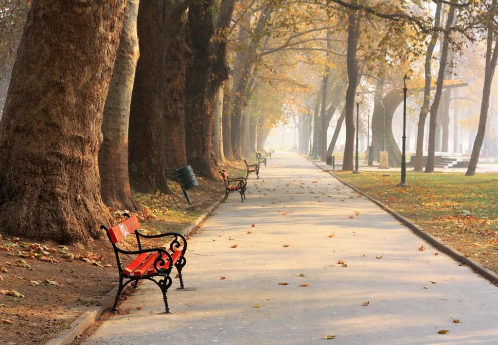 Bohemian Quarter / City Park, Free Parking Apartment Skopje Luaran gambar